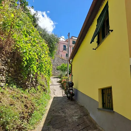 Casa Ela 莱万托